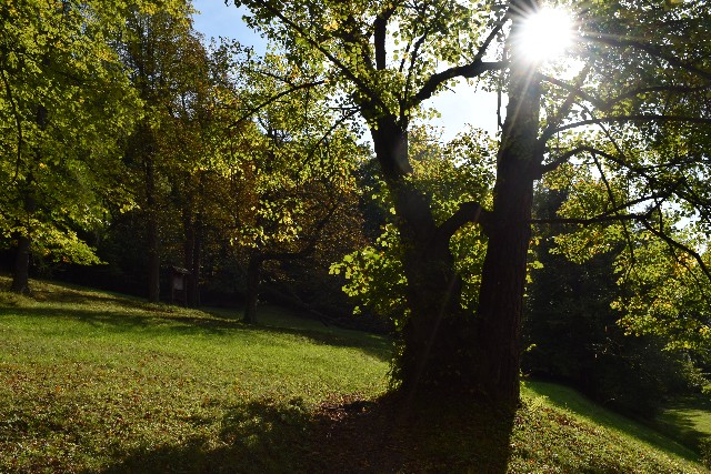 Park vo Svätom Antone